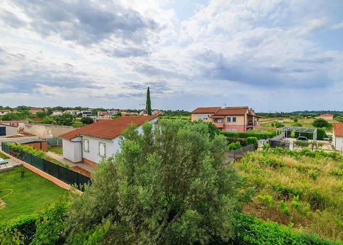 House Luigi Blue And In One Place