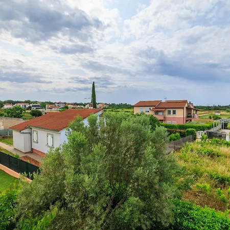 House Luigi Blue And In One Place